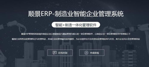 順景erp 實施erp解決方案有什么缺點